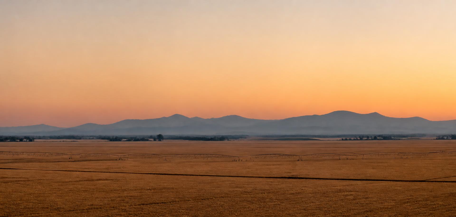 Central Valley horizon at dusk with cultivated fields and irrigation lines